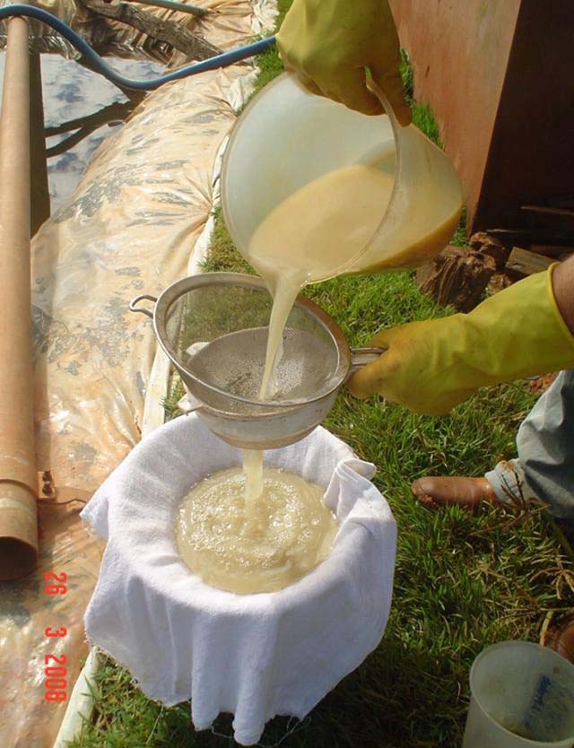 Análise do solo é estratégica contra escassez de fertilizantes