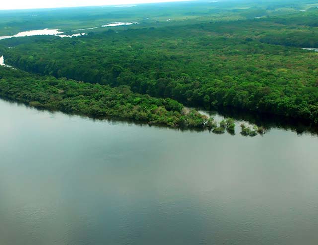 Água dos rios da Mata Atlântica está poluída