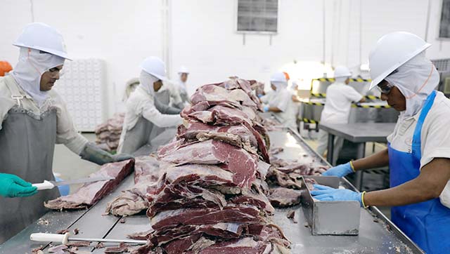 Em  fevereiro, houve um aumento de 47% no volume de carne de boi exportada e de 77% na receita com os embarques | Crédito: Paulo Whitaker/Reuters