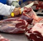 Carnes