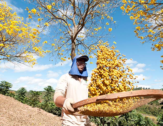 Lucro da Cooxupé sobe 9,5% e bate o recorde