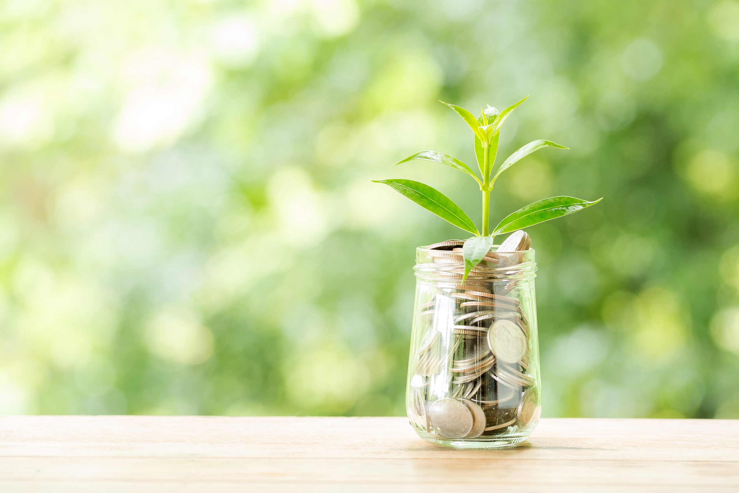 Franquias usam capilaridade para disseminar boas práticas do ESG