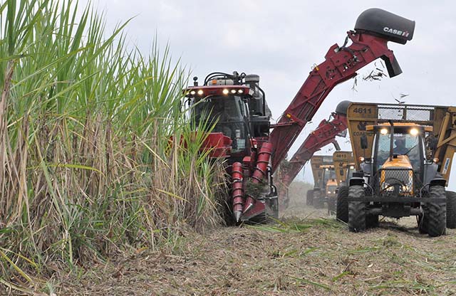 Etanol e açúcar: Safra tem boa perspectiva de preços para usineiros