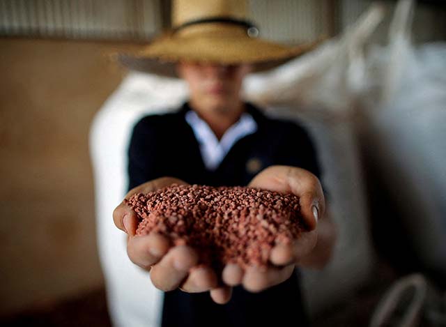 CPRM intensifica a busca por reservas de fertilizantes em território nacional