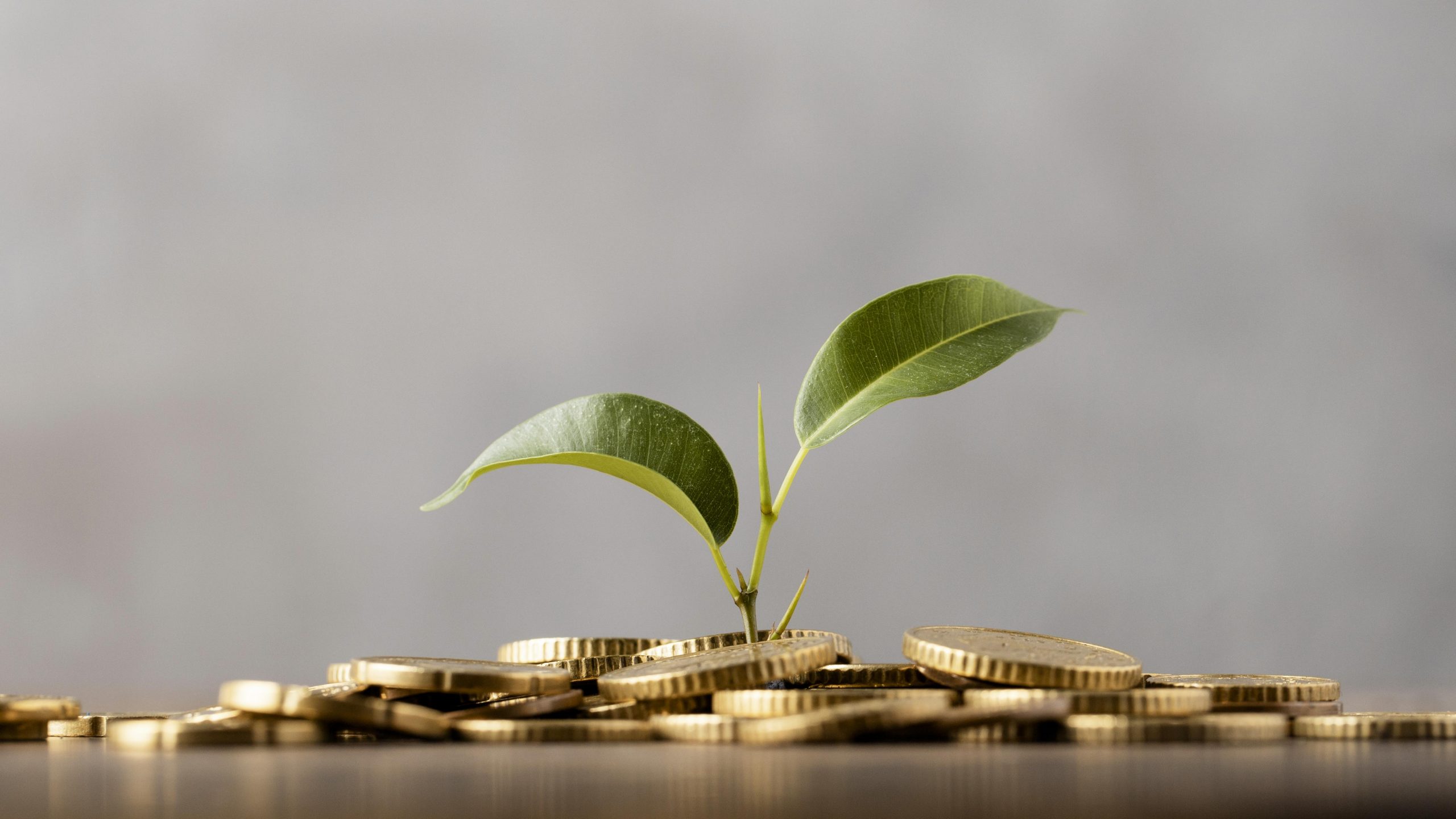 Equilíbrio entre ESG e finanças nas empresas
