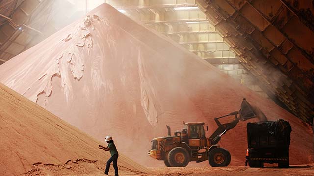 Guerra na Ucrânia: Verde Agritech elevará produção de fertilizantes