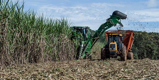 Faturamento bruto do agronegócio mineiro deve subir 17,4% em 2022