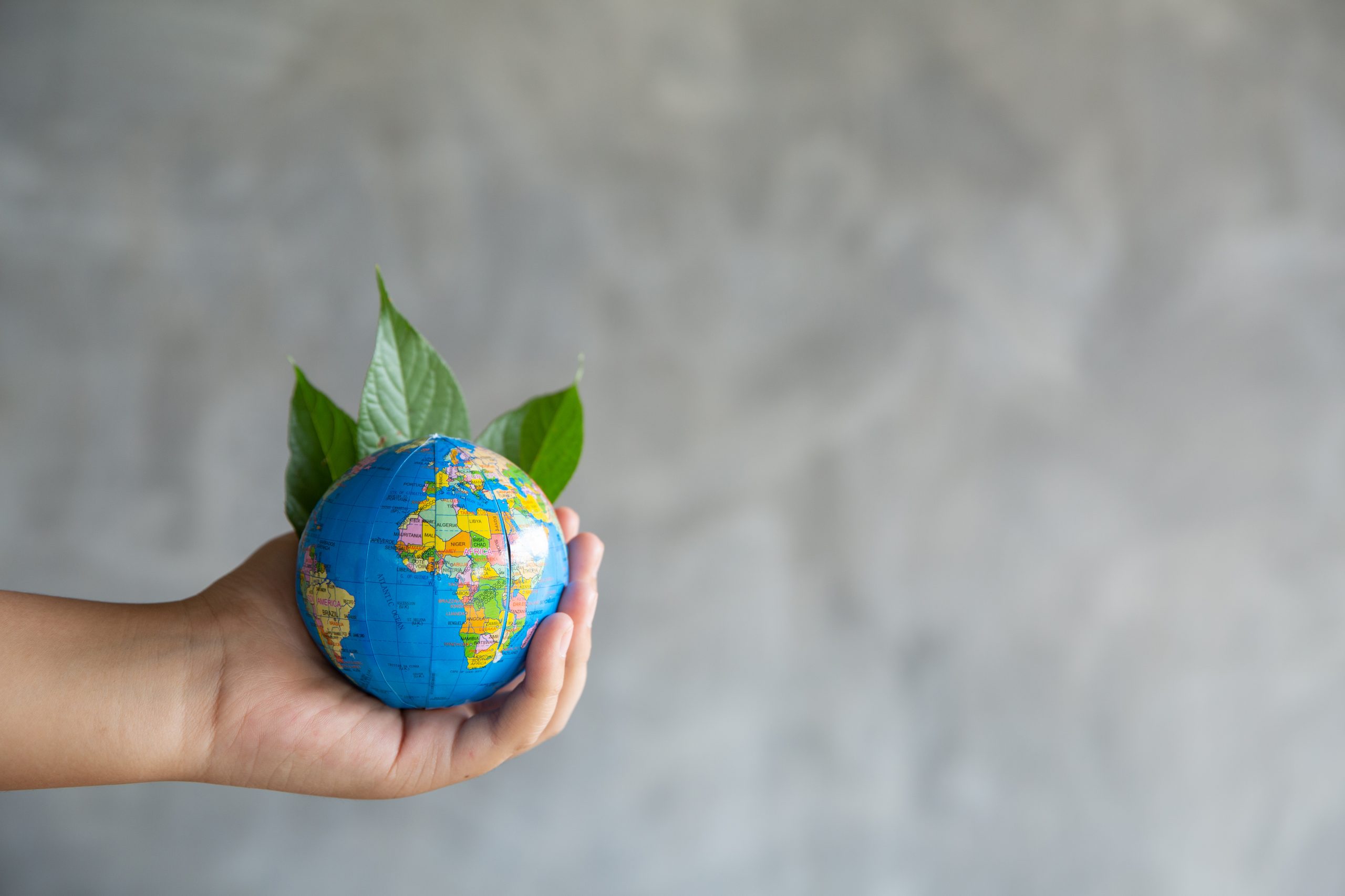 Estamos fazendo o suficiente para salvar o planeta?