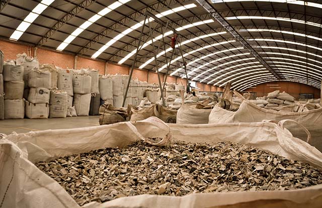 Santa Luzia aposta no mercado externo