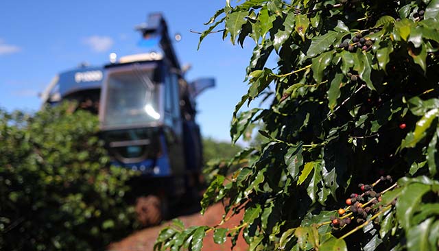 Agricultura promete alavancar VBP de Minas nesta temporada