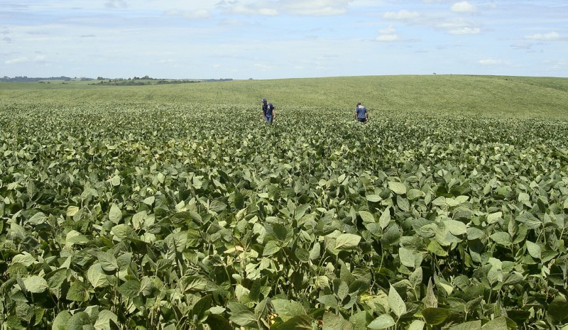 Lei que cria polo de produção orgânica no Norte do Estado é sancionada
