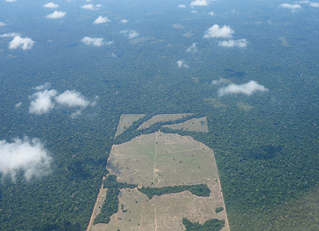 Desmatamento bate recorde na Amazônia