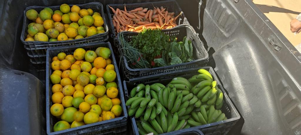 Toneladas de alimentos cultivados em unidades prisionais mineiras foram doadas em 2022