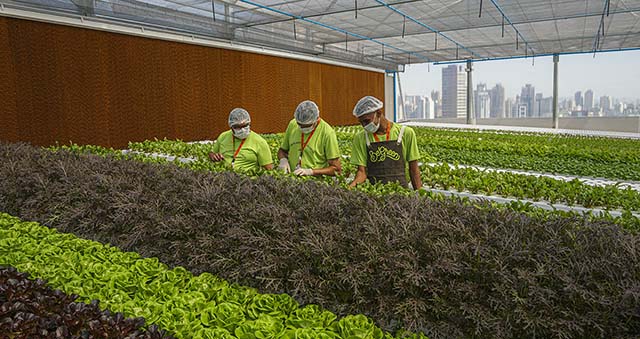 BeGreen inicia operação em São Paulo