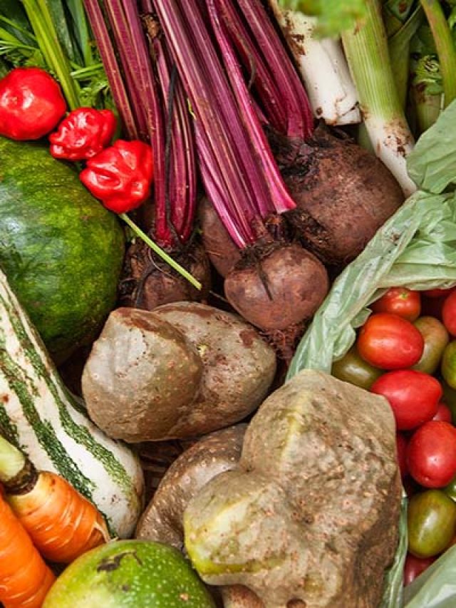 Inovação no agronegócio: da porteira ao consumidor