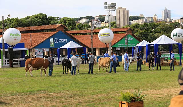 Neste ano, mais de 1.300 animais foram inscritos nas feiras, leilões e shoppings da Megaleite | Crédito: Megaleite/Divulgação