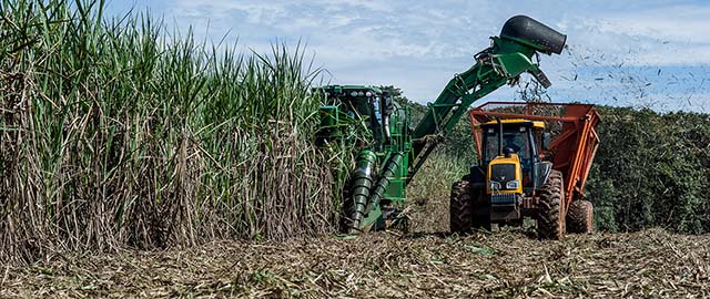 Moagem de cana somou 145,7 milhões de t até 16 de junho, ante 166,9 milhões no mesmo período da safra anterior | Crédito: Mayke Toscano/Gcom-MT