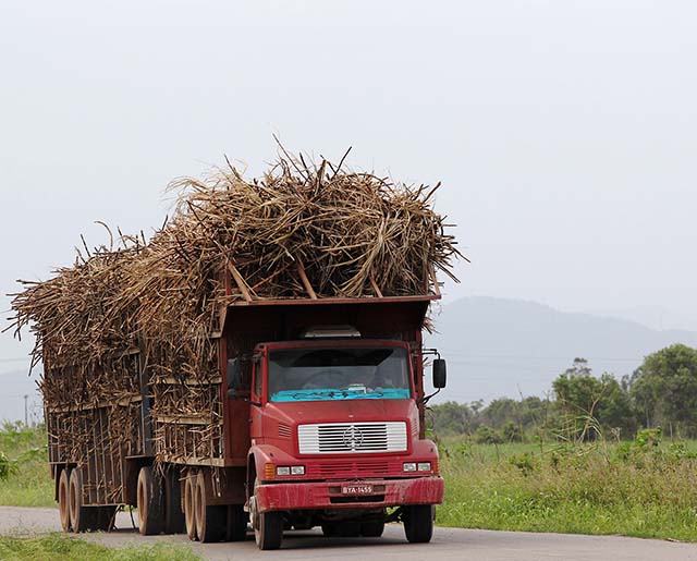 Atividade agropecuária respondeu por quase um terço do total de cargas movimentadas no Brasil | Crédito: Sergio Moraes / Reuters
