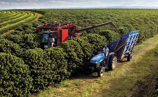 VBP deve crescer 13,8% em MG