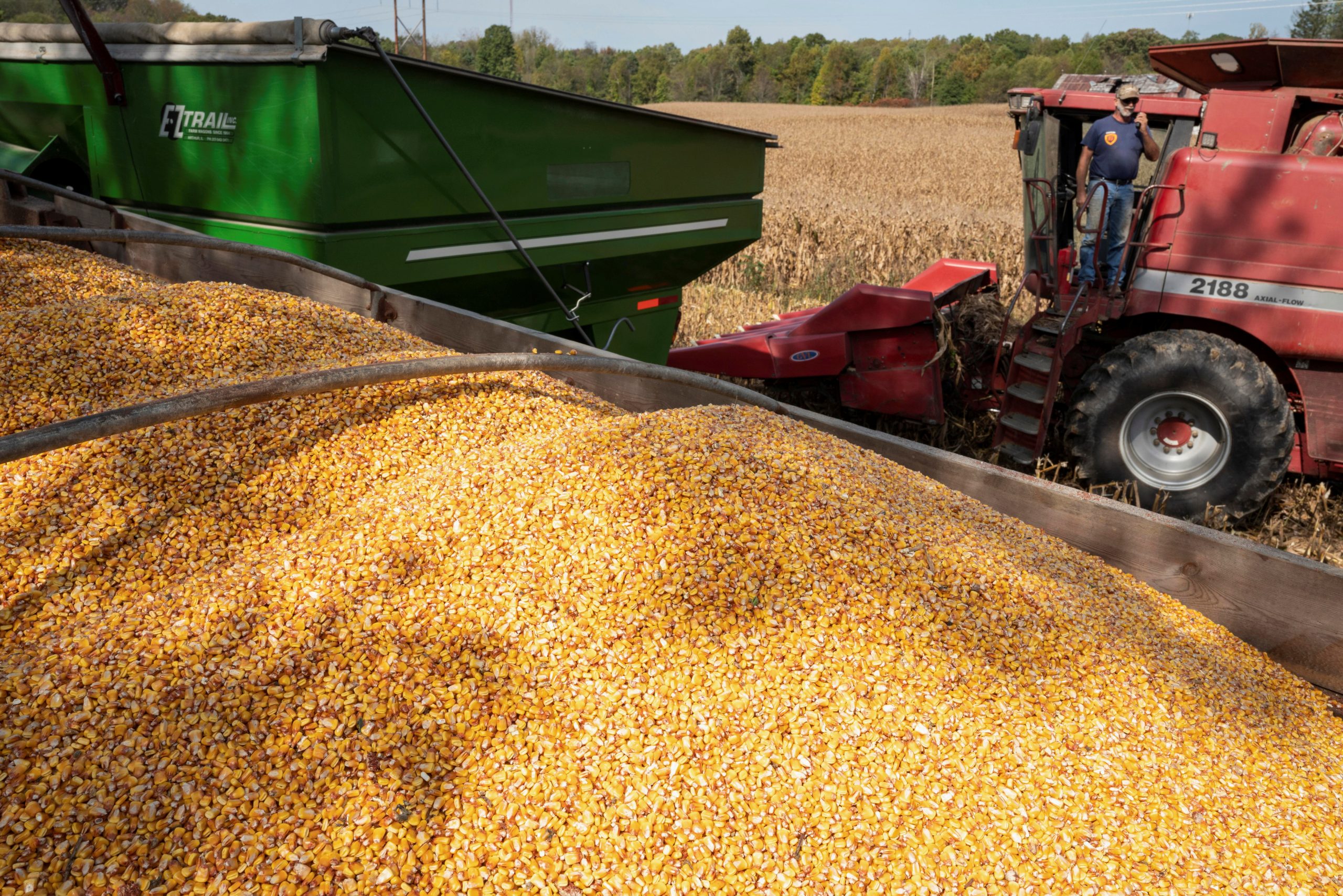 Agricultores do Brasil colhem quase um terço do milho 2ª safra, dizem analistas