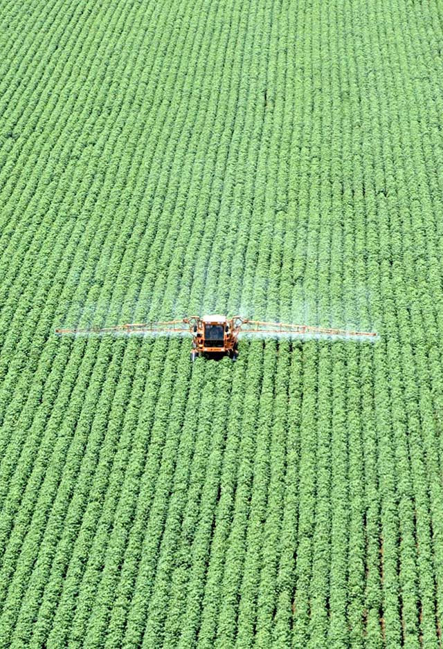 Desembolsos do crédito rural para MG sobem 21%