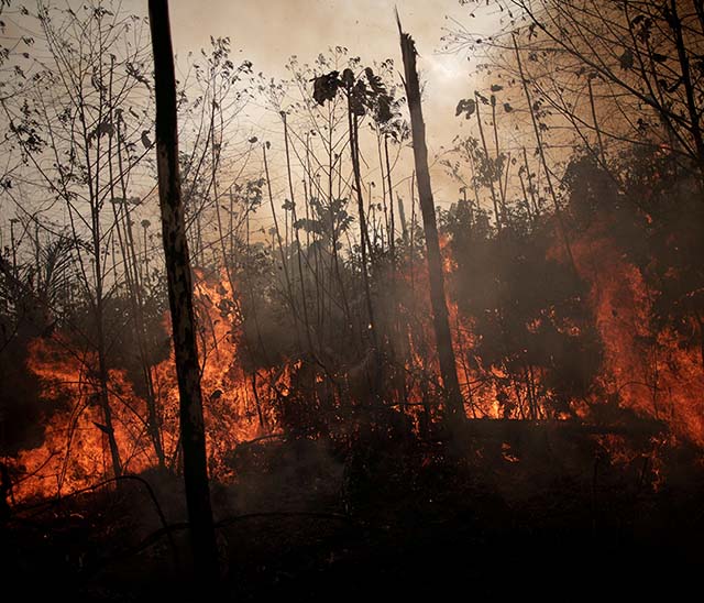 Indústria florestal contra incêndios