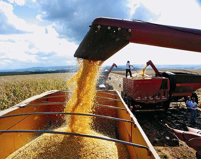 Estados do Centro-Oeste têm demandado grande volume de caminhões para colheita e escoamento do milho | Crédito: Divulgação CNH
