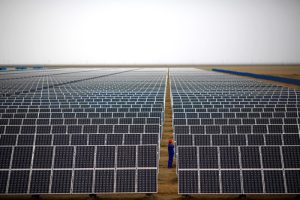 Várias placas solares espalhadas por terreno