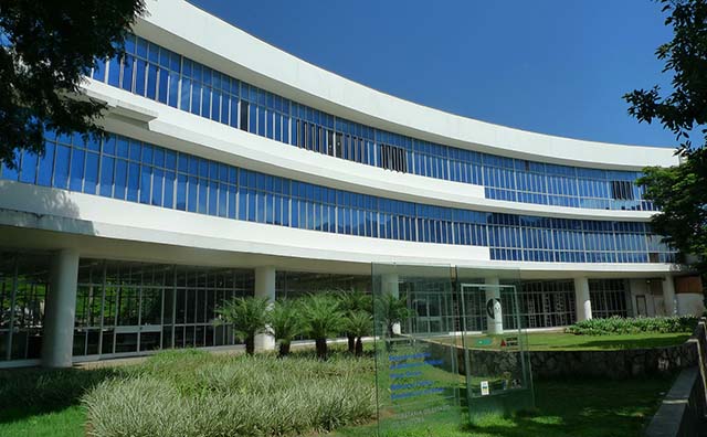 Gestão pela felicidade é bom caminho para empresas