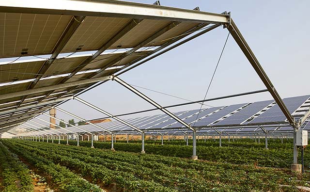 Cemig busca investidores para o hidrogênio verde