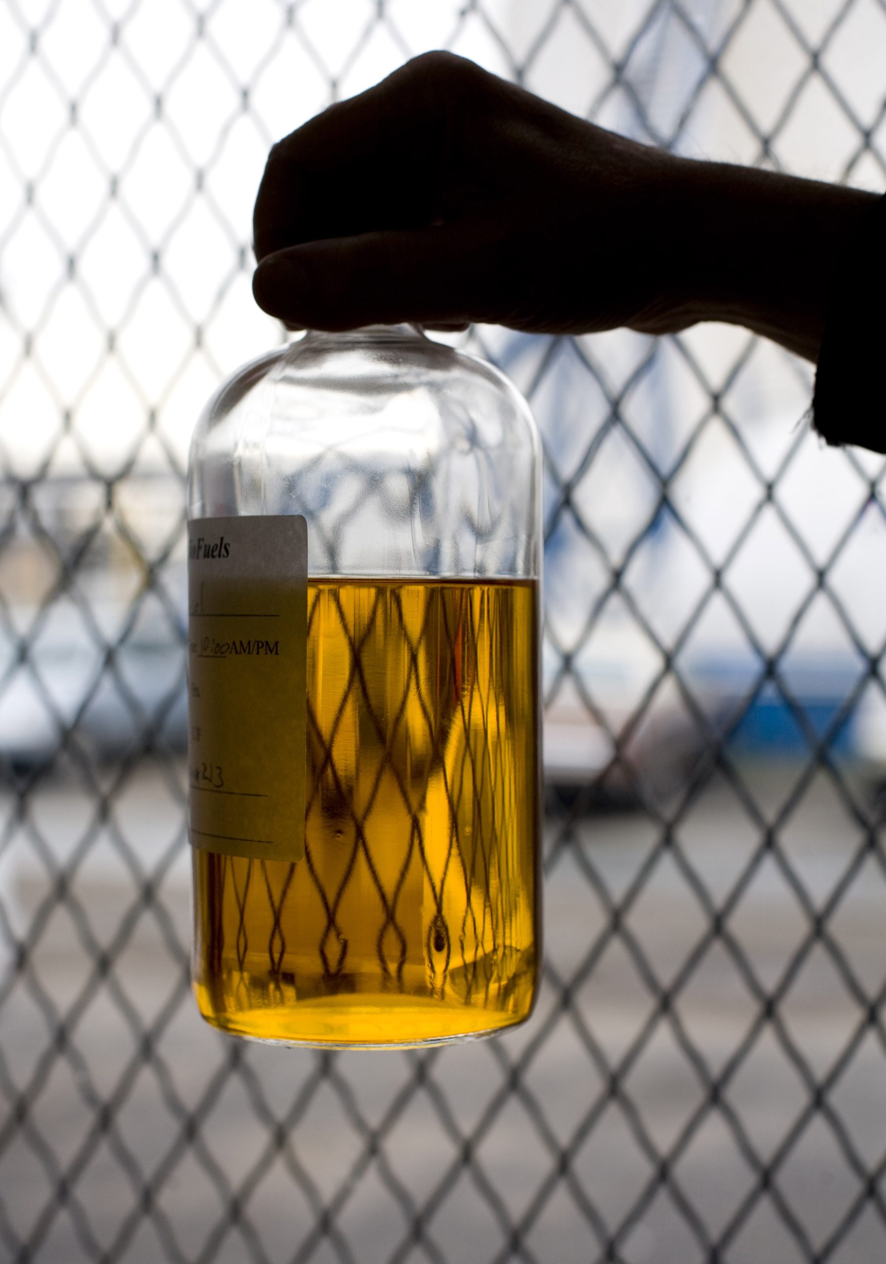 ANP aprova consulta pública sobre importação de biodiesel pelo Brasil