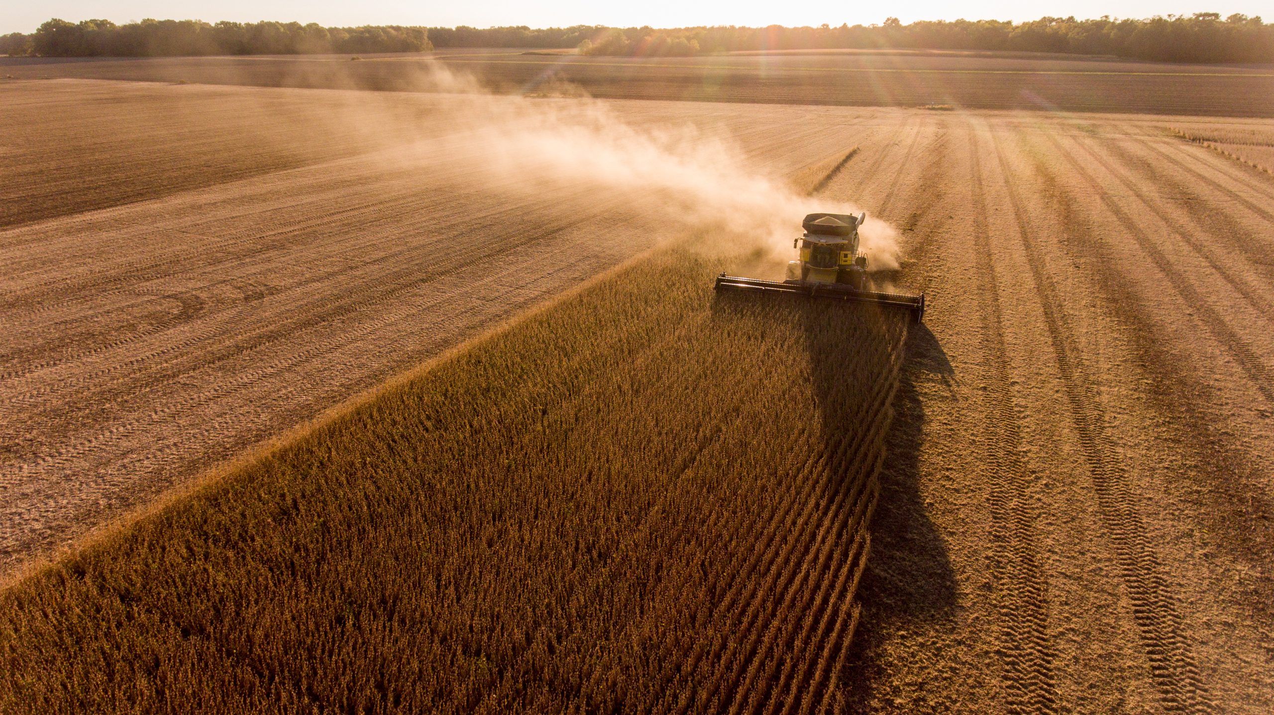 Soja responde por mais de 40% da receita da produção agrícola no Brasil