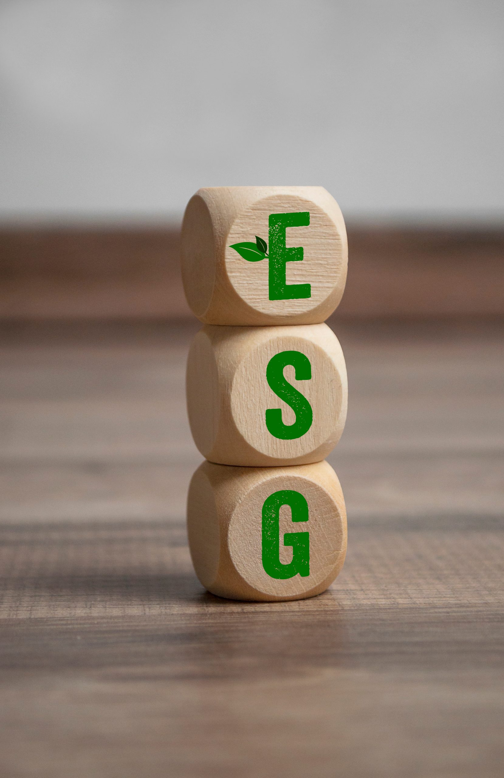 Ibef-MG e PwC Brasil criam premiação ESG