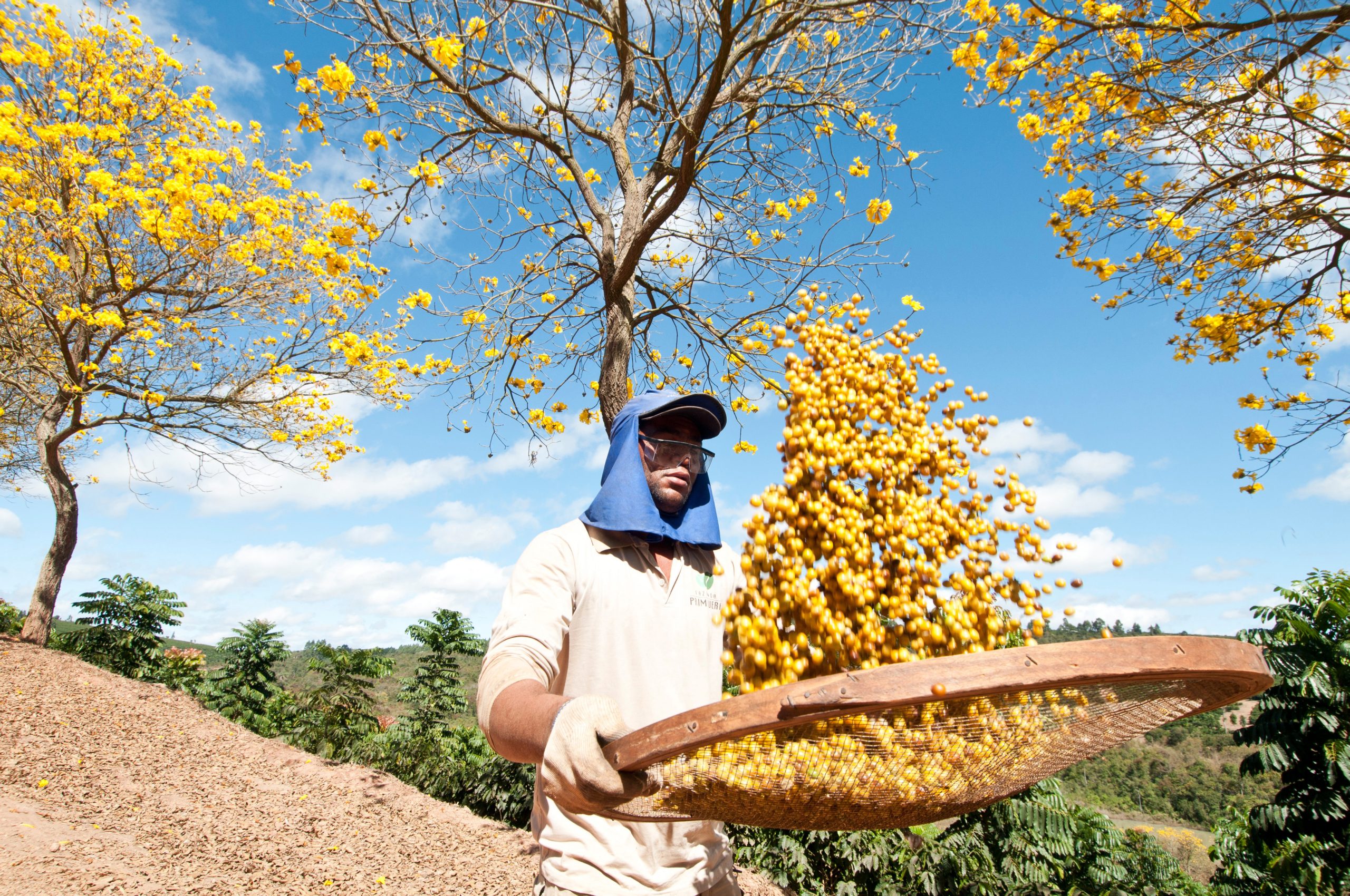 “Irrigação do cafeeiro em tempos de instabilidades climáticas” será um dos temas discutidos no Circuito Mineiro de 2022 | Crédito: Marcelo Andre/DC Arquivo