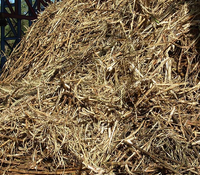 Potencial para produção de biogás em MG é gigantesco