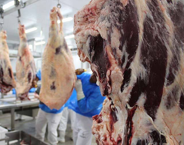 País tem recorde em envios de carne e milho