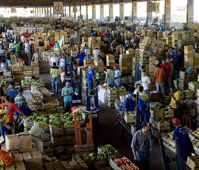 Frio em setembro eleva preços de alimentos na Ceasa
