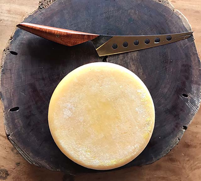 Patrimônio Imaterial: Queijo Minas Artesanal busca chancela mundial