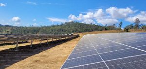 painéis de energia solar/ petrobras usinas solares