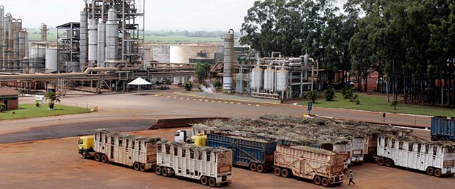 Produção nacional volta a crescer em julho