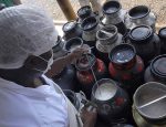 Produção de leite em Minas Gerais.