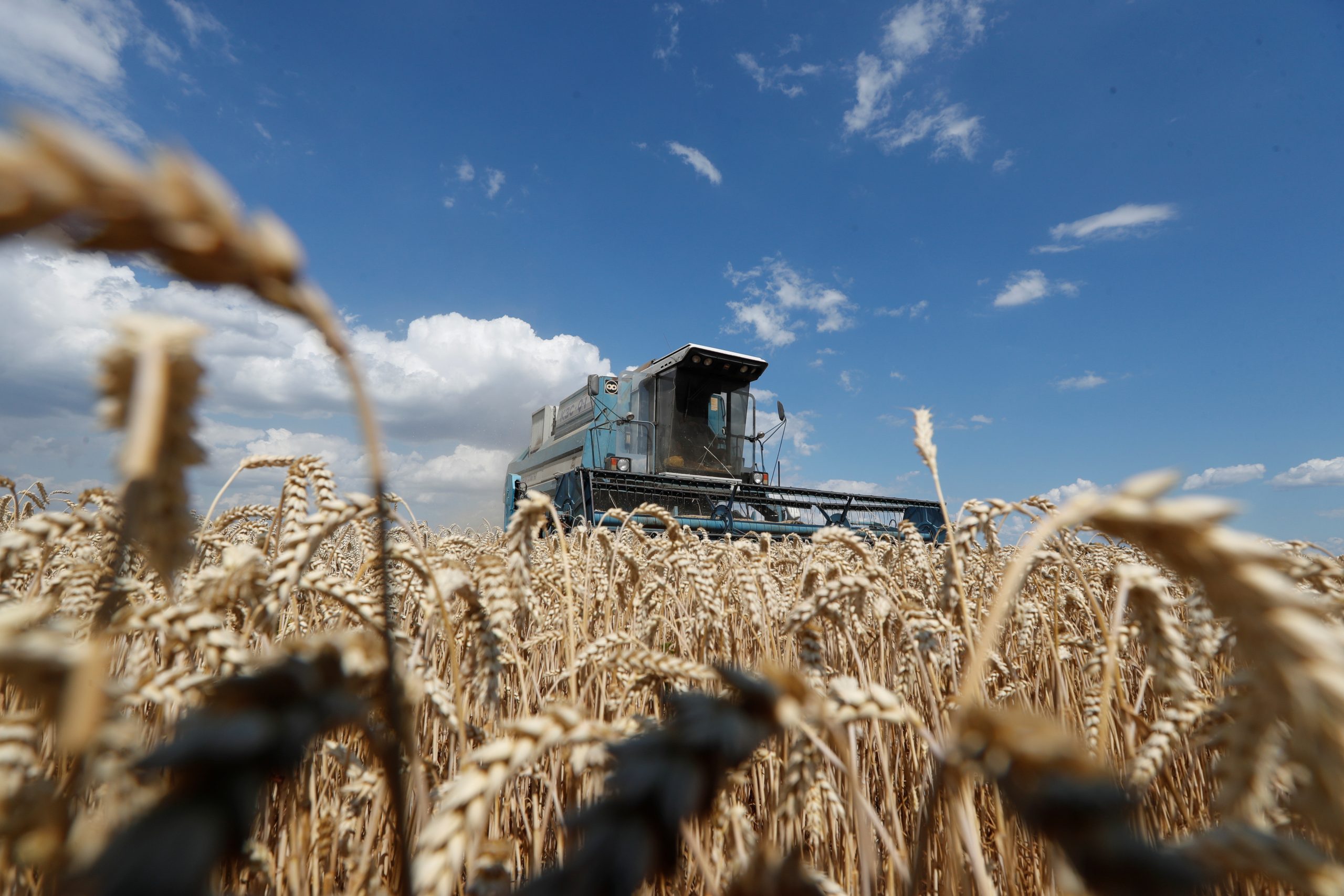 Brasil se mostra pronto para nova janela de IPOs do Agro