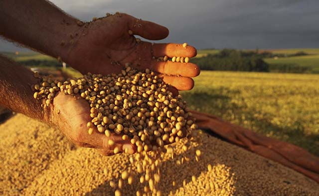 Lavouras devem impulsionar faturamento