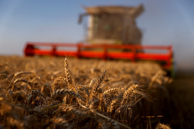 Índice global de preços dos alimentos cai pelo 6º mês em setembro, diz FAO