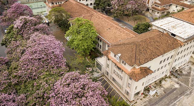 Bernoulli deve fazer aporte R$ 50 mi no Cidade Jardim