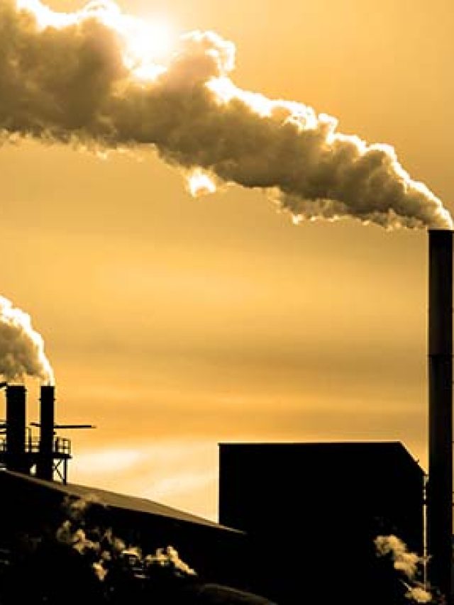 Programa vai incentivar o mercado de carbono