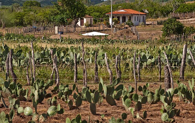 Minas Gerais libera R$ 5,7 milhões para o Fundo Garantia-Safra