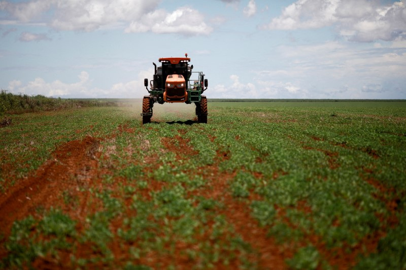 Nutrien adquire varejista agrícola com foco em expansão em MG e em SP