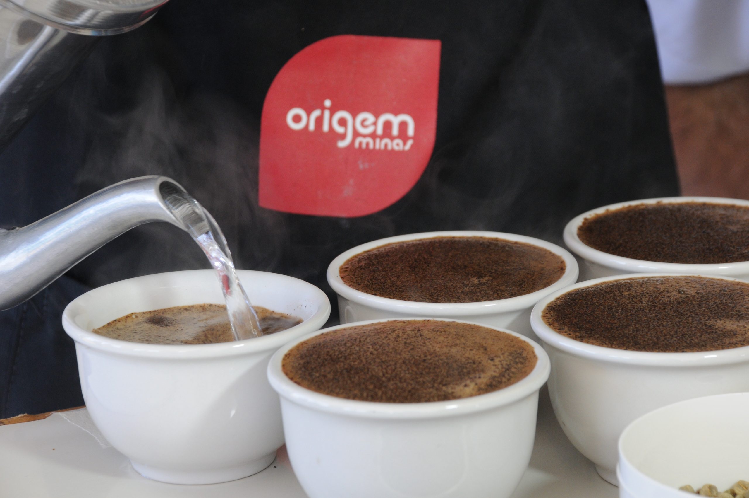 Semana Internacional do Café terá sete premiações para valorizar nova safra, força da mulher e técnicas inovadoras no setor