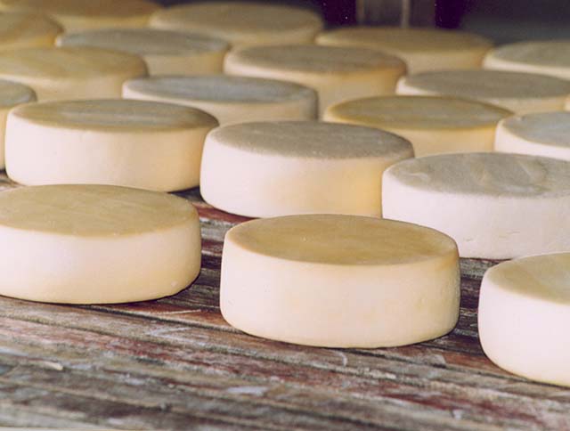 “Modos de Fazer do Queijo Minas Artesanal” querem ser Patrimônio Imaterial da Humanidade